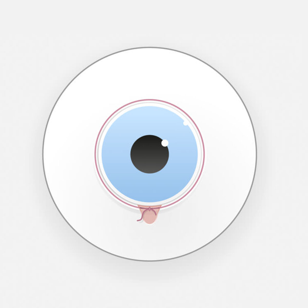 360 Grad Kanaloplastik / Canaloplasty